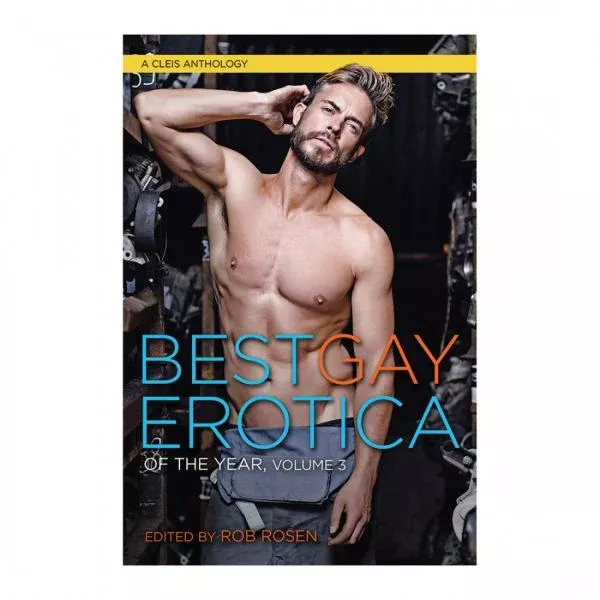 best-gay-erotica-year-volume-3-book Best Gay Erotica of the Year Volume 3 Book