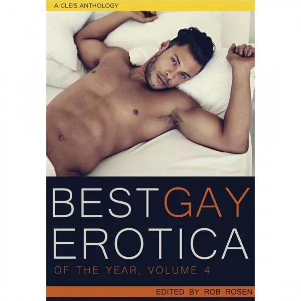 best-gay-erotica-year-volume-4-book Best Gay Erotica of the Year Volume 4 Book