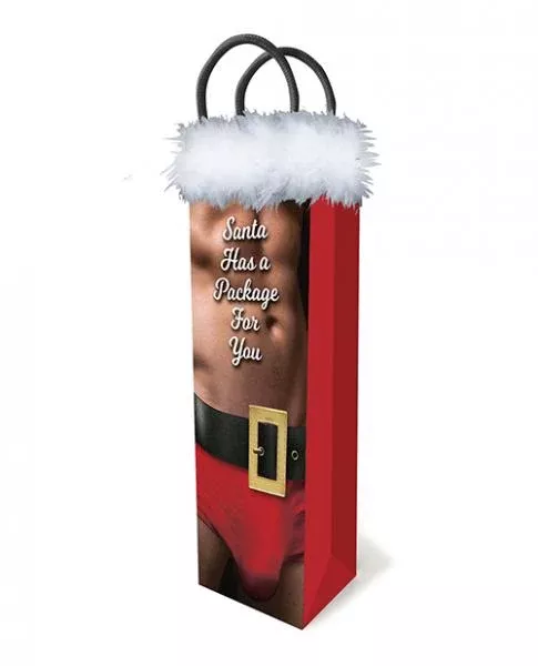 santa-has-package-gift-bag Santa Has A Package Gift Bag