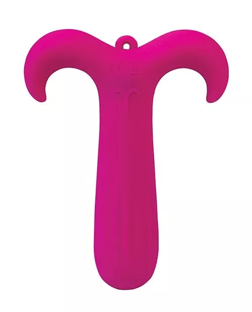 Zodiac Aries Mini Vibe